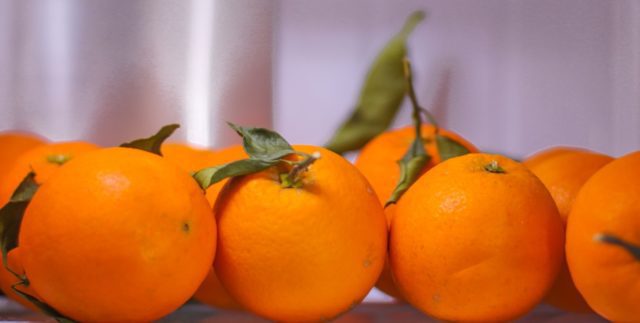 luscious oranges in a row