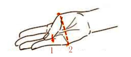 Bangle Sizing Illustration Diagram -Hand Only