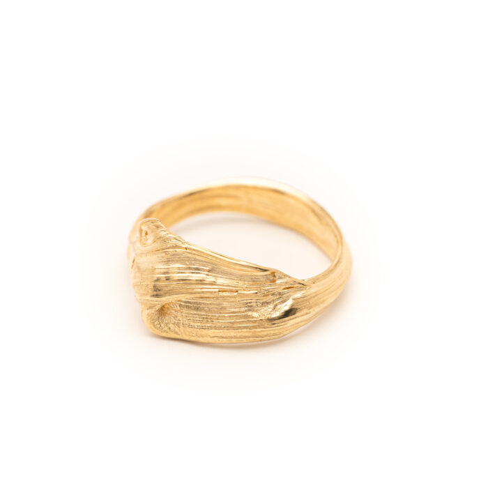 Flow Ring 01 DorotheeRosen 18k Ethical Fairmined ECO Gold