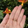 Script Ring OCEAN 18kyg DorotheeRosen back