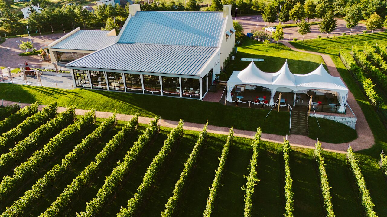 Luckett Vineyard Spring Pop-up April 2025
