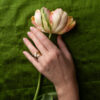 348 - EXEXEX - 0.70ct - Size 7.5-3 by Dorothee Rosen